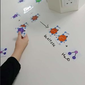 _Exploring Life_ What’s New in Biology This Termv