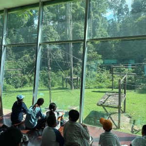 Sandakan-Trip (15)