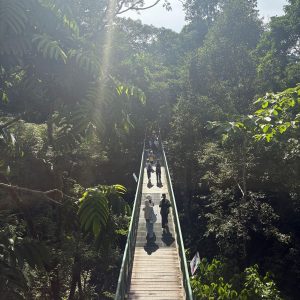 Sandakan-Trip (3)