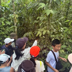 Sandakan-Trip (6)